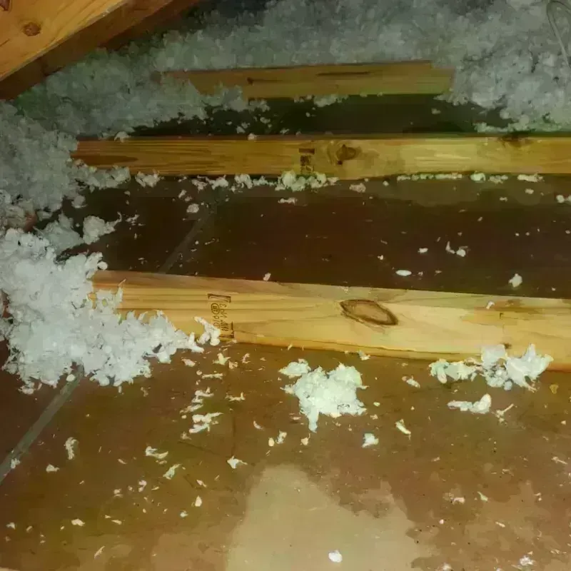 Attic Water Damage in Cerro Gordo, IL